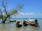 หาดไร่เลย์ หาดไร่เลย์ตะวันออก อ่าวไร่เลย์ตะวันออก อ.เมือง จ.กระบี่ 